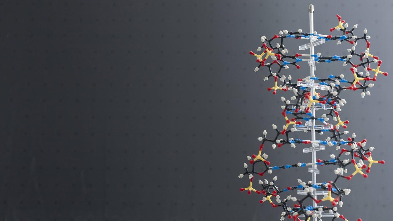 Model eines DNA-Moleküls