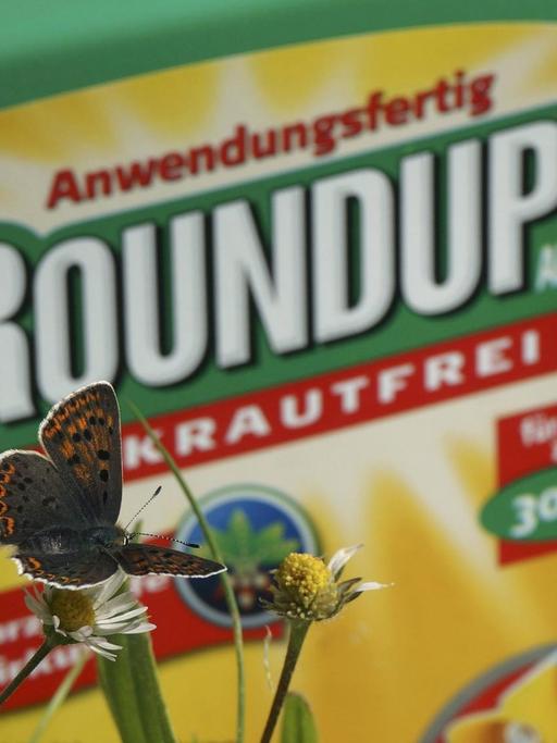 Ein Schmetterling sitzt auf einer Blume vor einer Plastikflasche mit der Aufschrift "Roundup".
