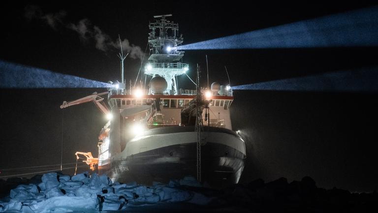 Das auf einer Eisscholle eingefrorene Forschungs-Schiff "Polarstern" drifttet ein Jahr lang durch das Nordpolarmeer.