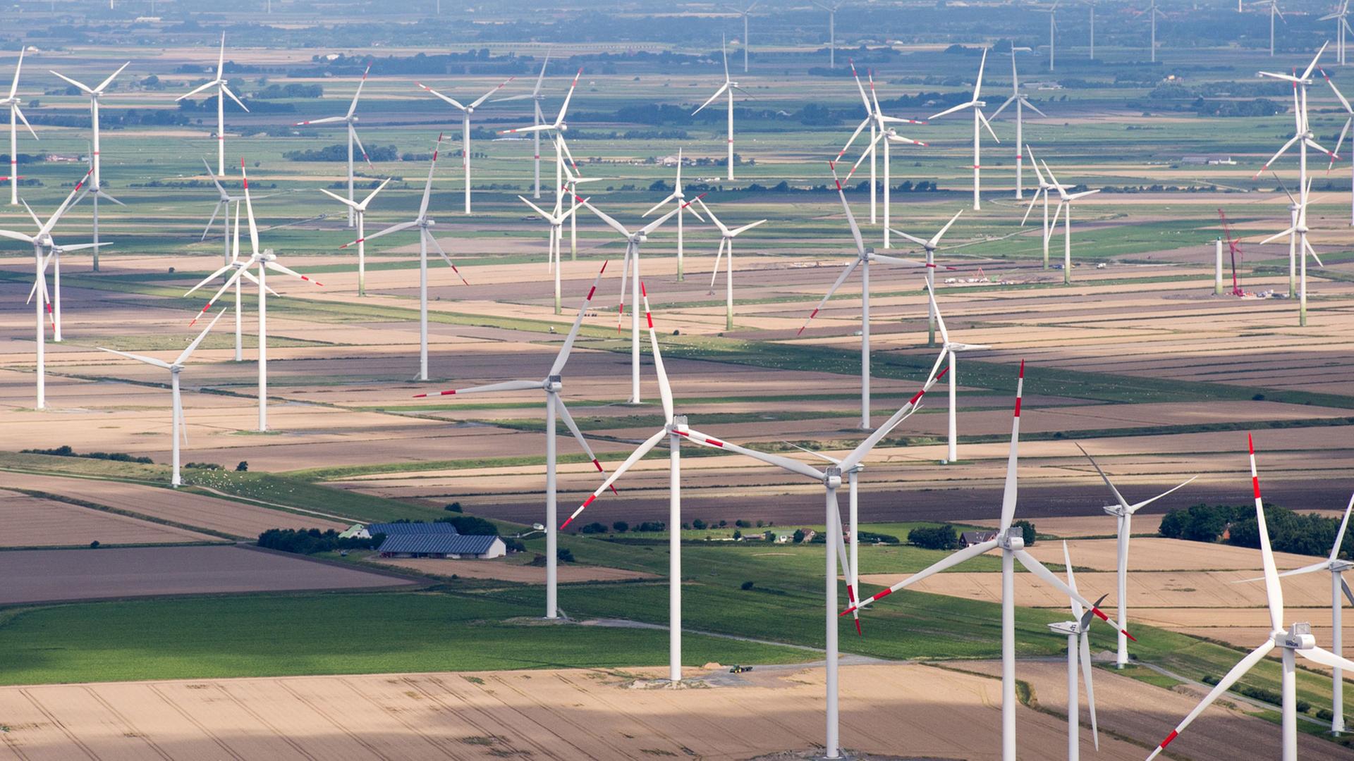 Felder mit zahlreichen Windkraftanlagen bei Husum in Schleswig-Holstein