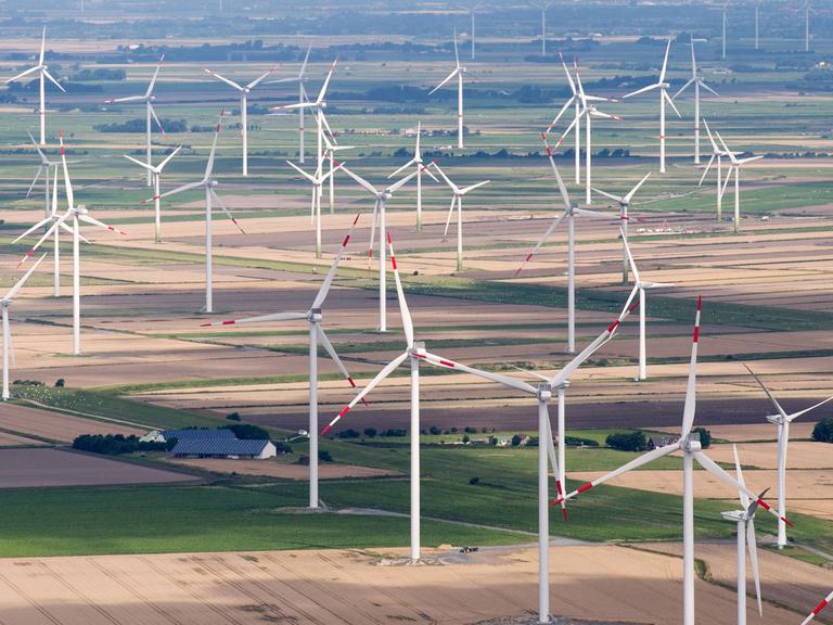 Felder mit zahlreichen Windkraftanlagen bei Husum in Schleswig-Holstein