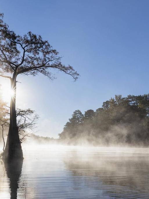 Das Foto zeigt einen See in Louisiana, USA, mit aufgehender Sonne.