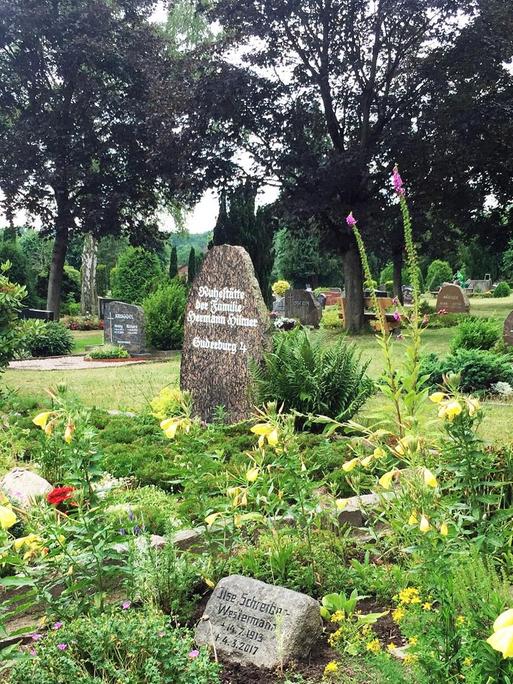 Blick auf ein Grabfeld mit kleinen auf dem Boden liegenden Grabplatten, drumherum üppiger Blumenwuchs mit gelben Blüten. Im Hintergrund Bäume und eine Friedhofskapelle aus Backstein.