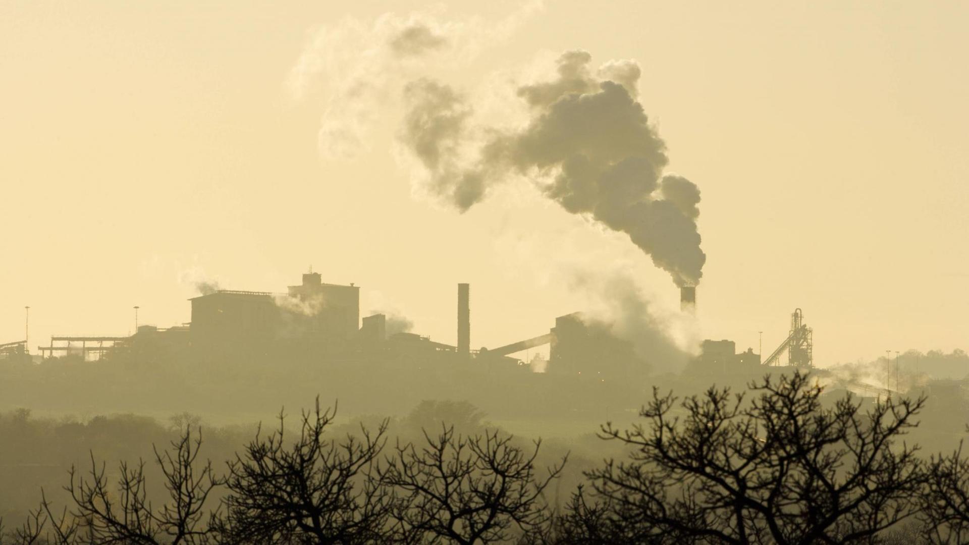 In der Ferne sieht man eine Fabrik in Südafrika mit rauchenden Schornsteinen. Im Vordergrund stehen am unteren Bildrand ein paar Bäume. Die Szene ist in ein gelbes Licht getaucht.