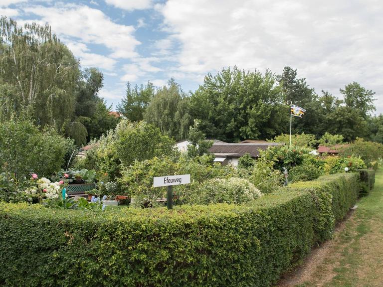 Kleingartenanlage in Berlin