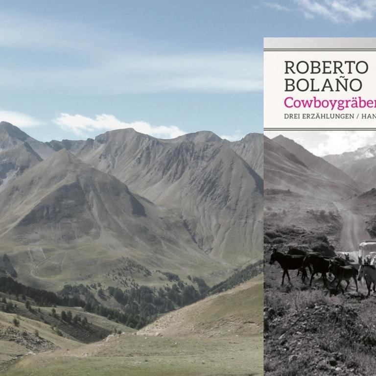 Buchcover: Roberto Bolaño: „Cowboygräber“