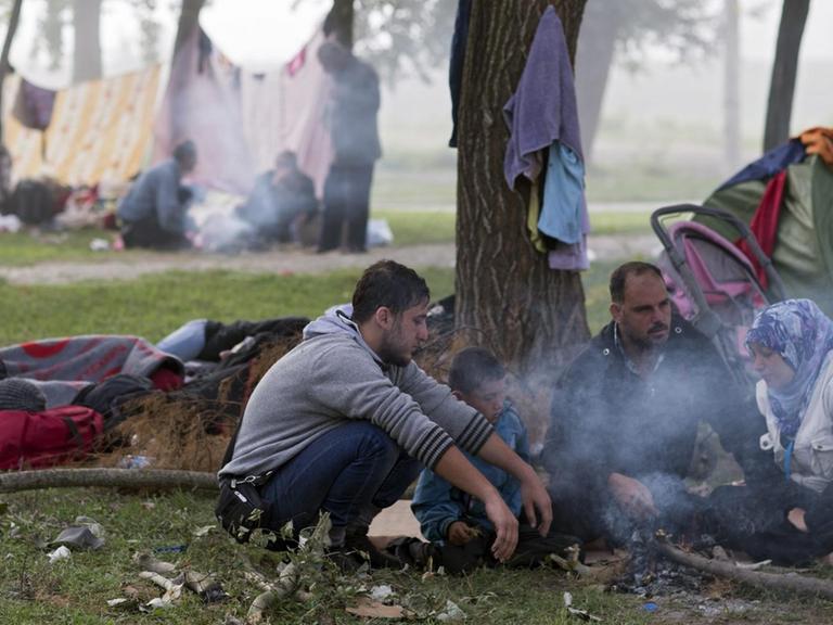 Man sieht eine Gruppe syrischer Flüchtlinge unter einem Baum an einem Feuer in Edirne/Türkei.