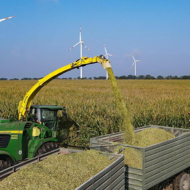 Ein Feldhäcksler erntet Maispflanzen für eine Biogasanlage und befördert diese zerkleinert auf einen daneben fahrenden Traktor mit Anhängern (Luftaufnahme mit einer Drohne). Auf etwa 1,5 Millionen Hektar werden in Deutschland vor allem Mais und Gras für Biogasanlagen angebaut.