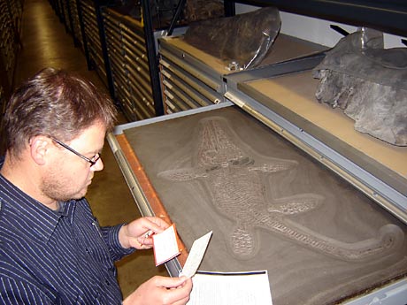 Rainer Schoch, Kurator im Naturkundemuseum Stuttgart, zeigt die umfangreiche Wirbeltiersammlung des Museums.