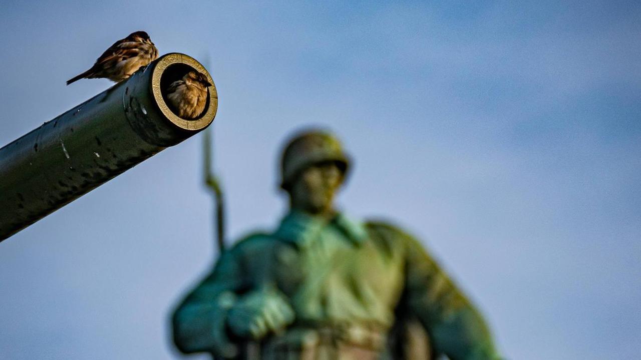 Zwei Spatzen am Ende eines Kanonenrohres vor einer Statue eines Soldaten.