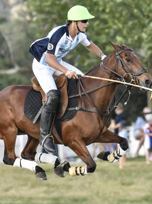 Polomatch - Argentina gegen Chile; Lucio Fernandez Ocampo aus Argentinien ist flott mit seinem Pferd unterwegs.