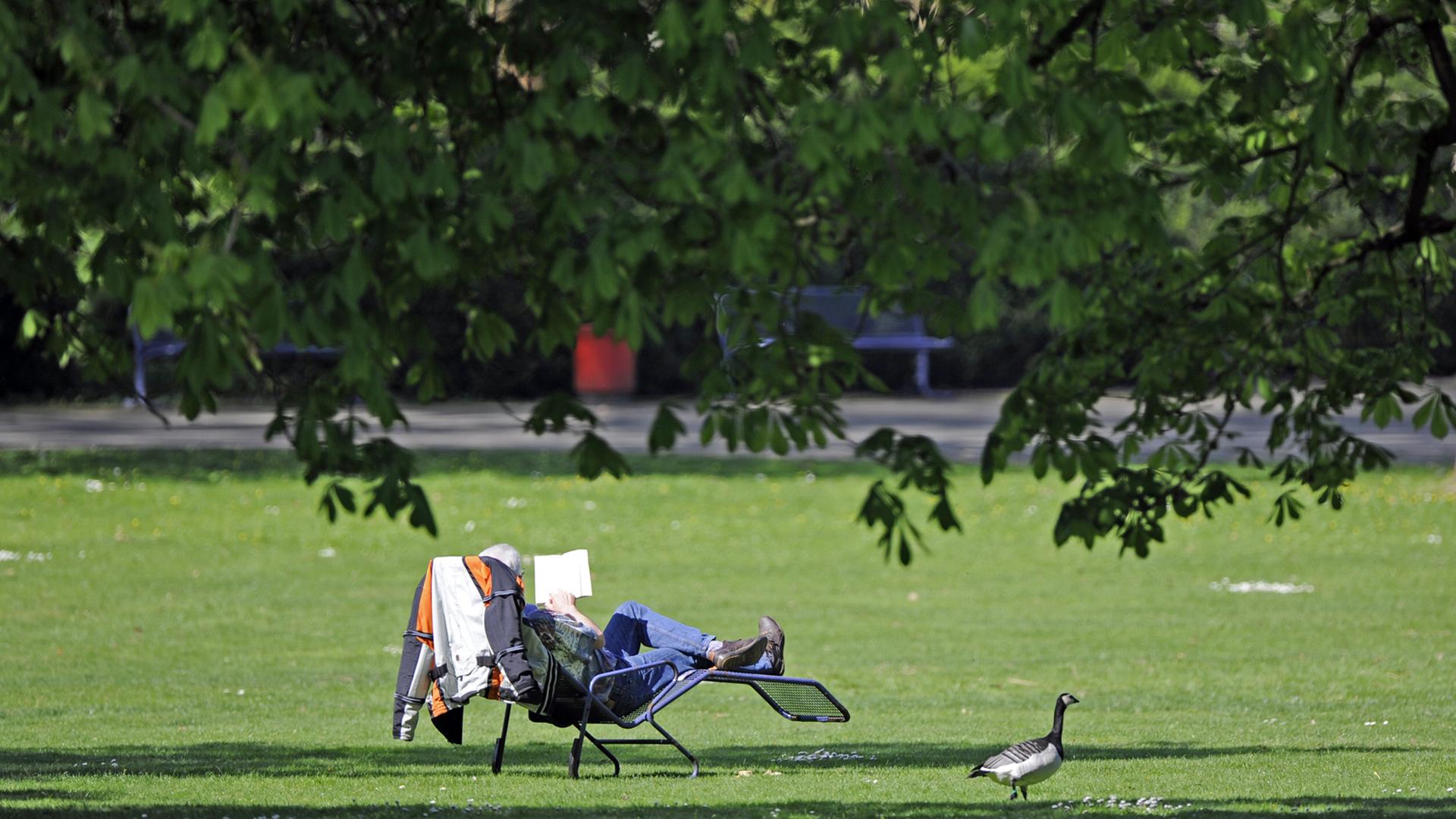 Ein Mann sitzt im Luisenpark in Mannheim in einem Liegestuhl und liest ein Buch.