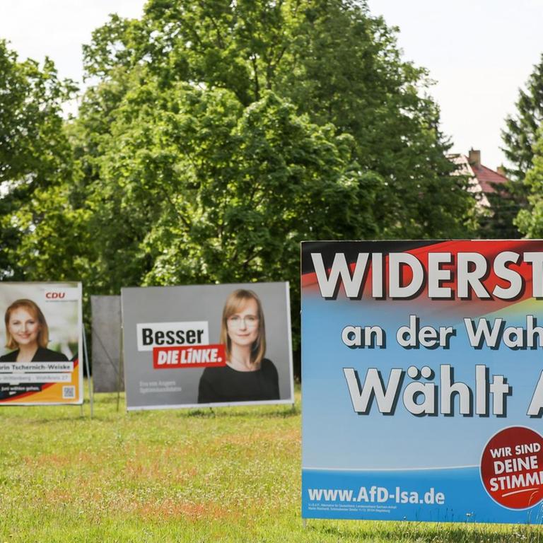 Große Wahlplakate von CDU, der Linken und AfD stehen auf einer Wiese. In Sachsen-Anhalt wird am 6. Juni ein neuer Landtag gewählt.