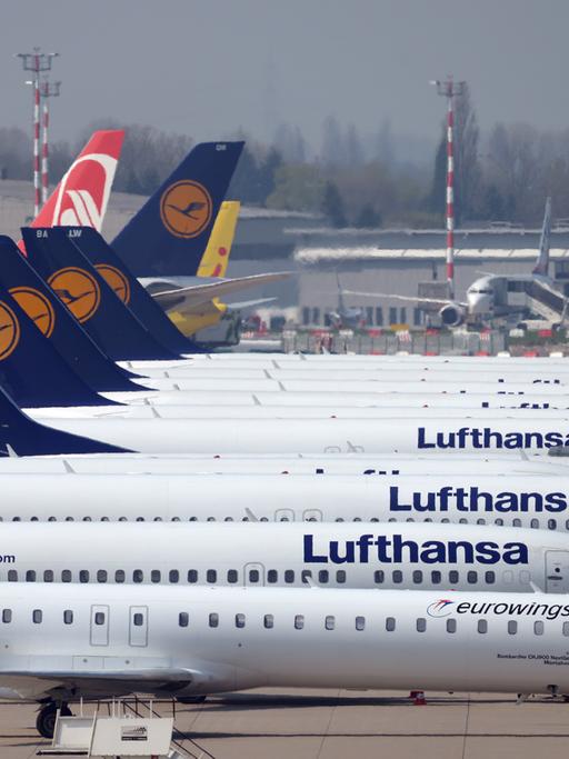 Flugzeuge der Lufthansa auf dem Flughafen in Düsseldorf