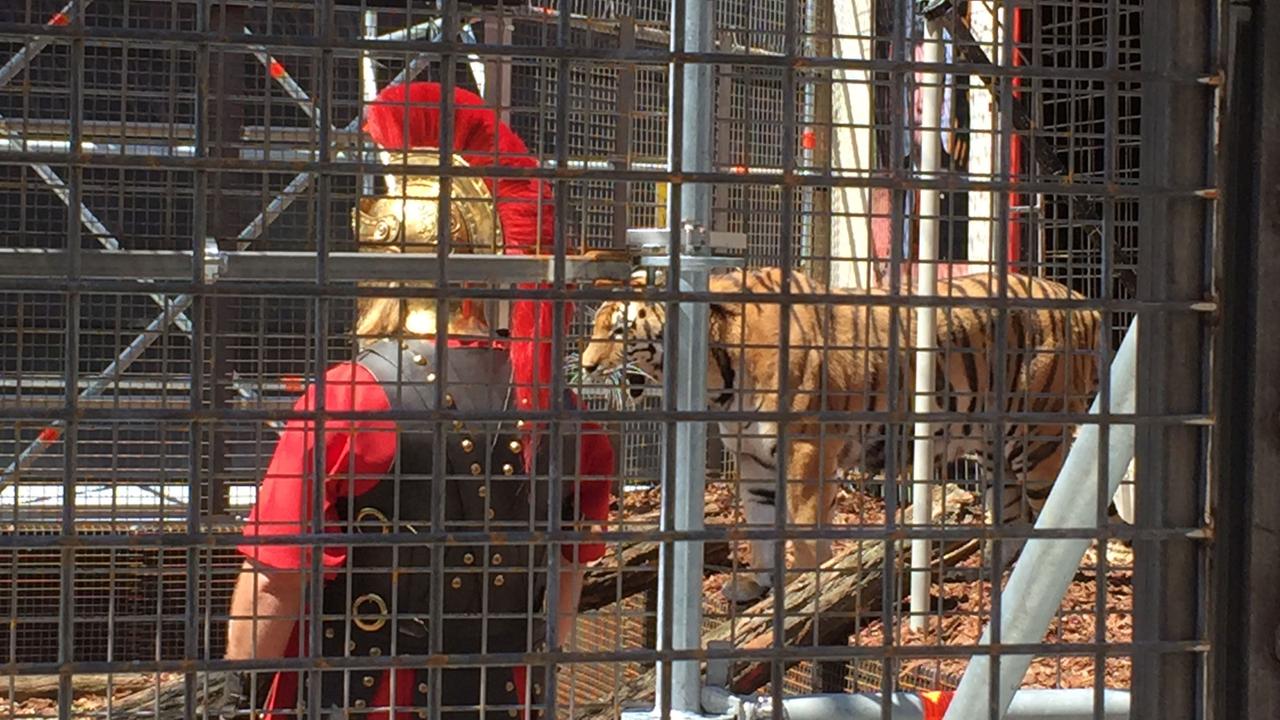 Blick durchs Gitter: Ein Tiger und ein Mann im Imperator-Kostüm bei der Aktion "Flüchtlinge Fressen" des Zentrums für politische Schönheit (ZPS) in Berlin
