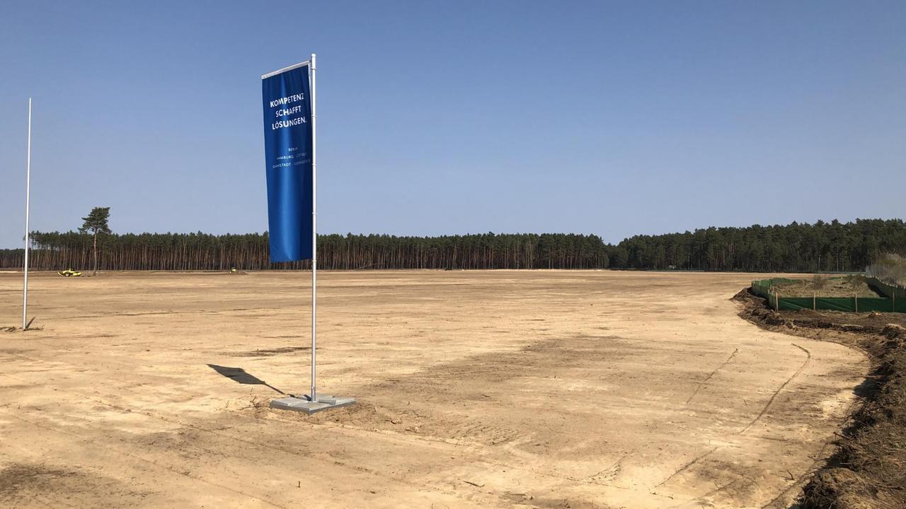 Gerodete Fläche, darauf eine blauer Aufsteller-Flagge mit der Aufschrift "Kompetenz schafft Lösungen", im Hintergrund Kiefernwald.