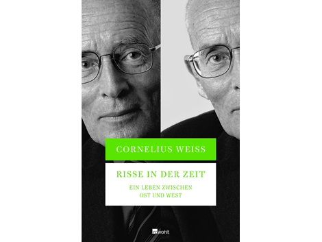 Cover: "Risse in der Zeit" von Cornelius Weiss