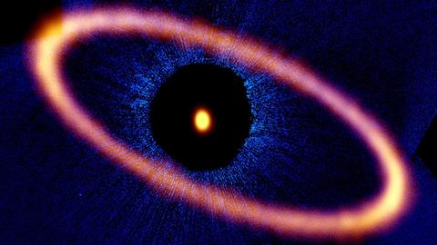 Der junge Stern Fomalhaut wird von einem großen Staubring umgeben.