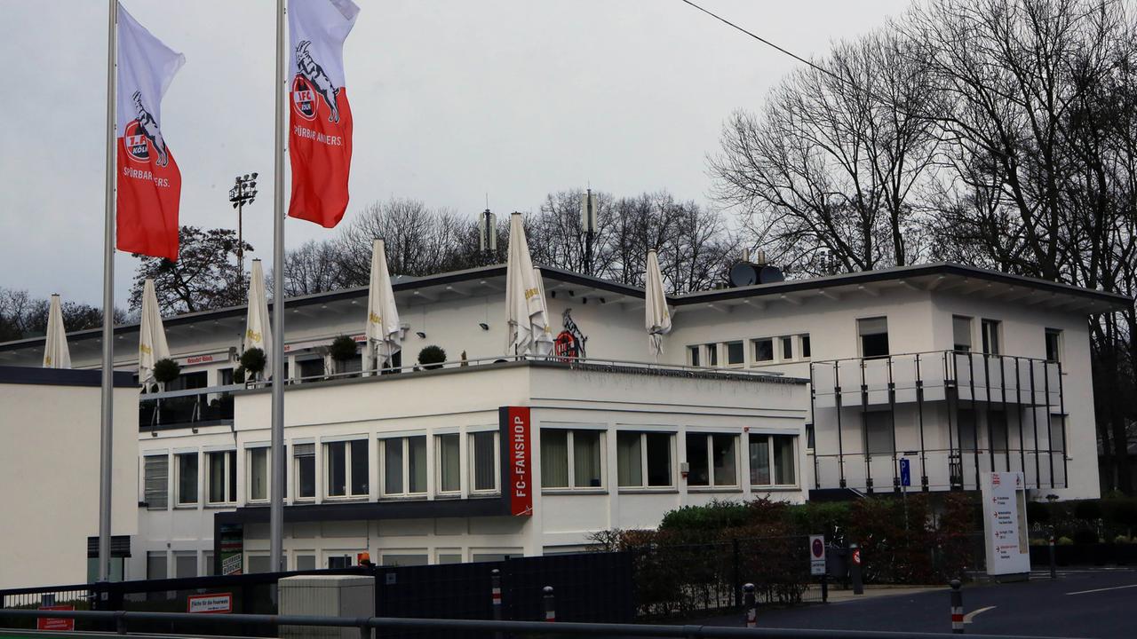 Zu sehen ist ein flaches, breit gebautes Gebäude inmitten einer größeren Grünanlage. Im Vordergrund wehen zwei rot-weiße Vereinsflaggen des 1. FC Köln. 