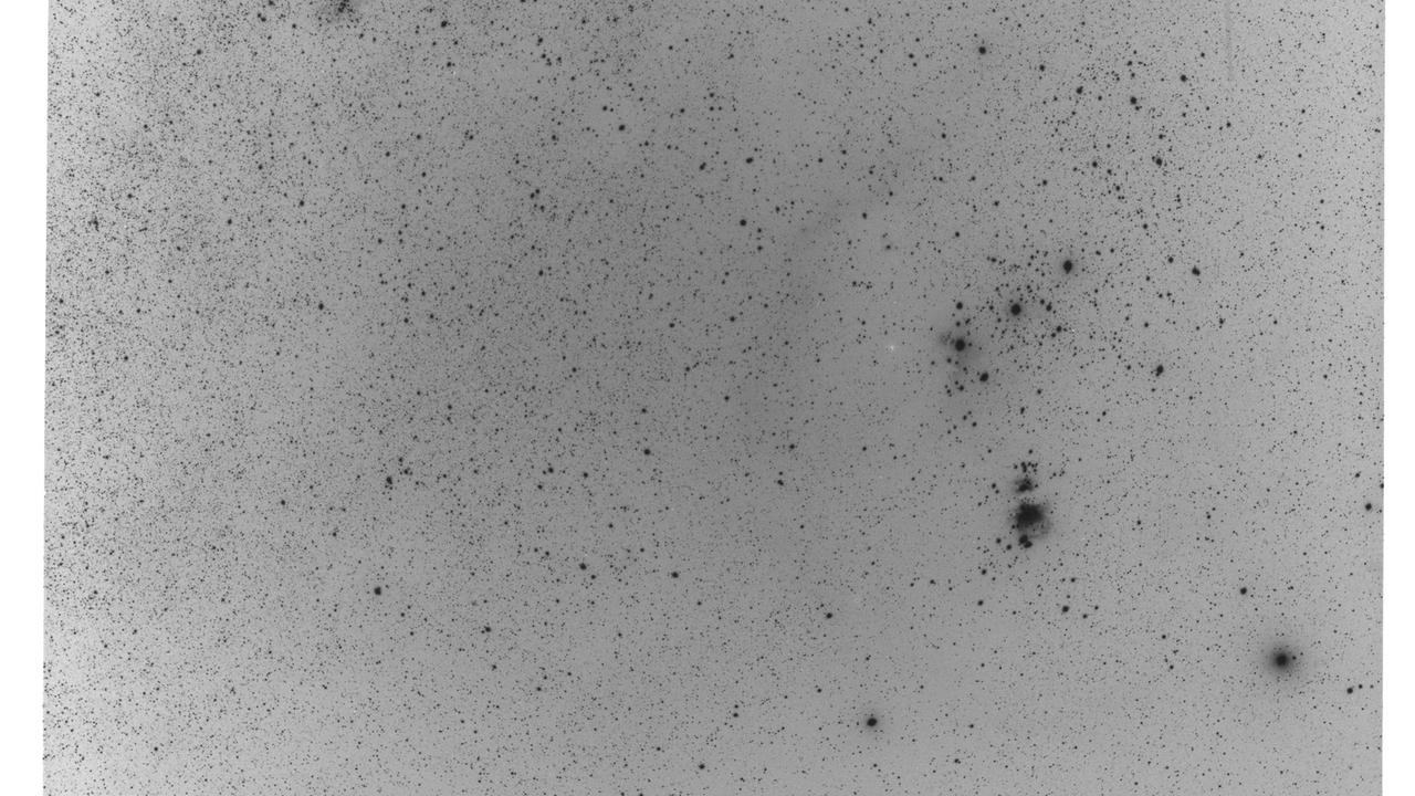 Das Sternbild Orion auf Fotoplatten der Sternwarte Sonneberg 