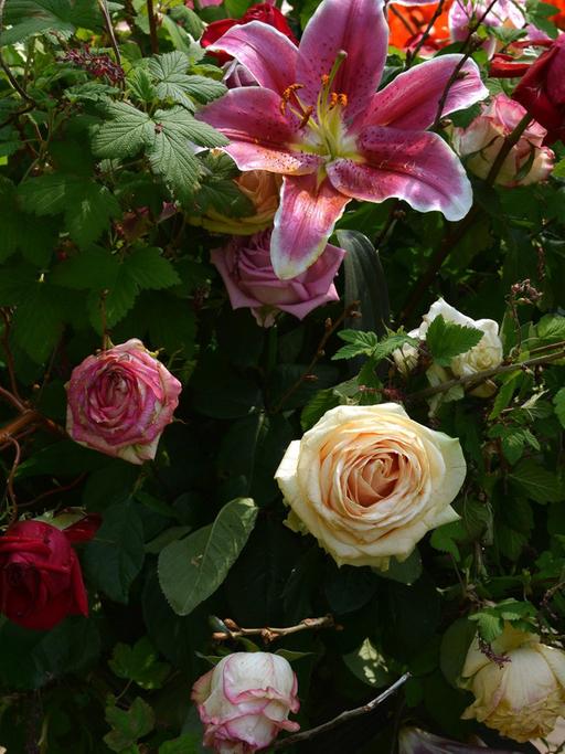 Ein Blumen-Arrangement mit Rosen und Lilien, aufgenommen im Blumenpark Keukenhof bei Lisse in den Niederlanden am 25.04.2014.