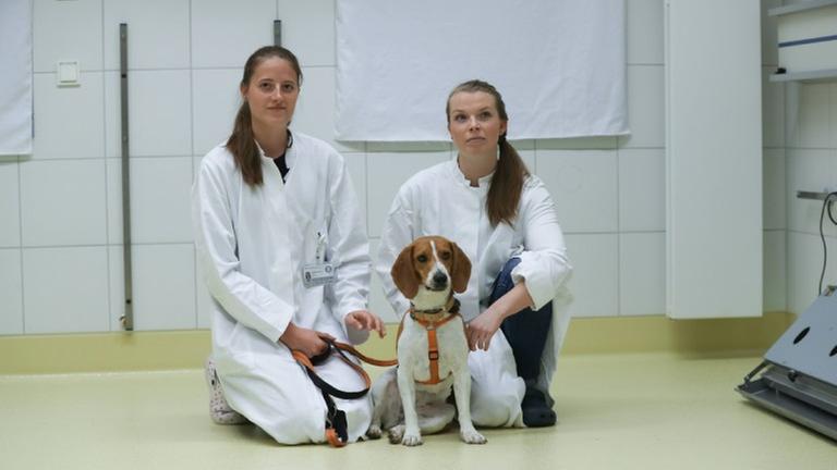 Leider liegt für dieses Bild keine Bildbeschreibung vor