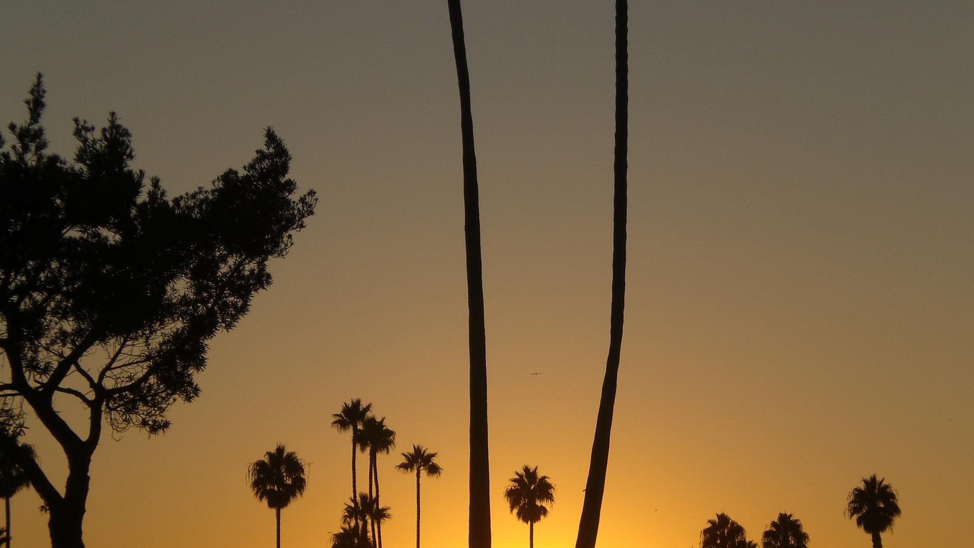 Sonnenuntergang Santa Monica, Kalifornien. Ist bald mit einem großen Beben zu rechnen?