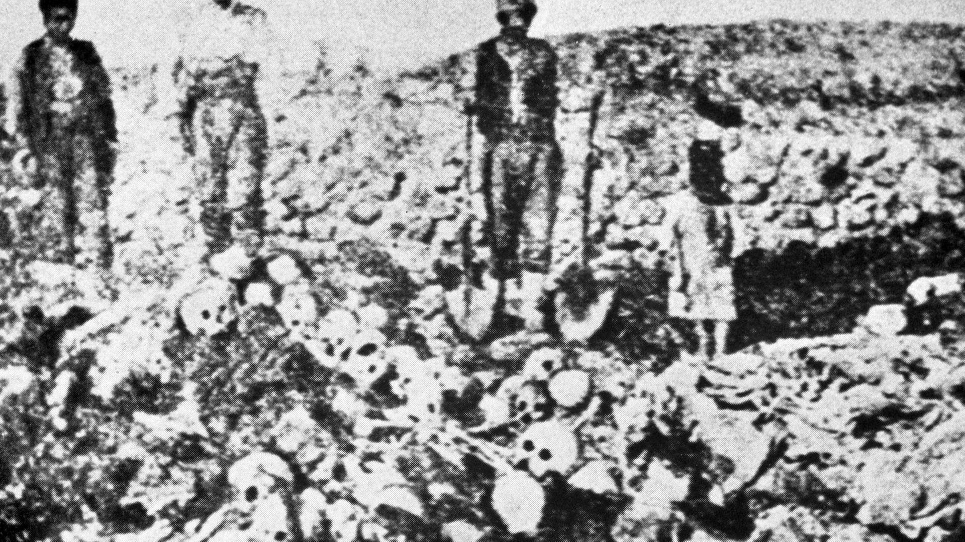 Massengrab mit den Leichen getöteter Armenier. Rund 1,5 Millionen Armenier sind in den Jahren 1915 und 1916 bei den Massenmorden und Deportationen durch die Türken ums Leben gekommen. Als Folge flüchteten die Armenier aus dem türkischen Teil Armeniens in den russischen Teil sowie in andere Länder.