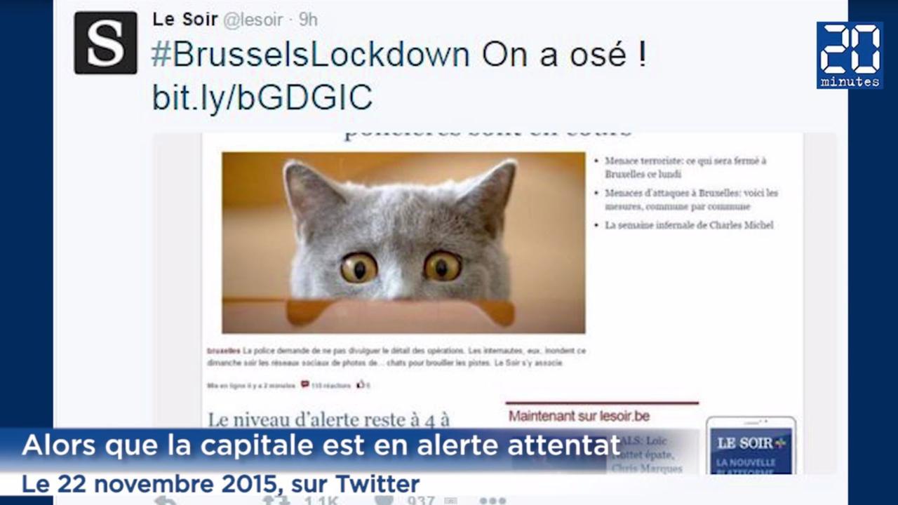 Eine erschreckte Katze als Aufmacherbild der Zeitung "Le Soir"