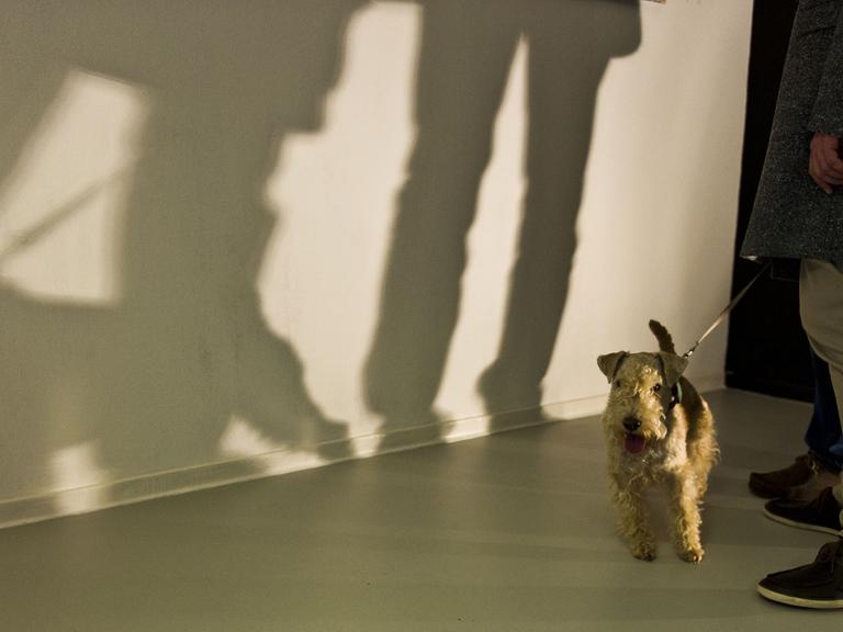 Auf der "DOGumenta" Ausstellung in Frankfurt am Main (Hessen) wirft am 06.11.2012 ein Besucher-Paar mit Hund Schatten auf eine Wand.