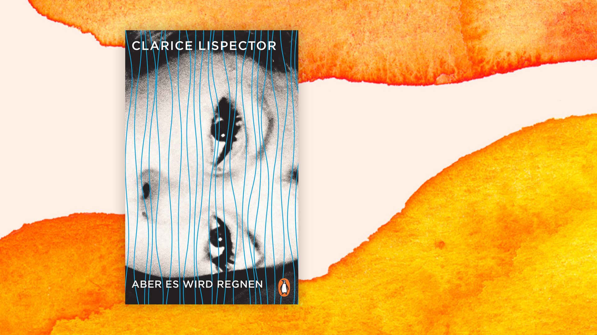 Buchcover zu Clarice Lispector: "Aber es wird regnen"