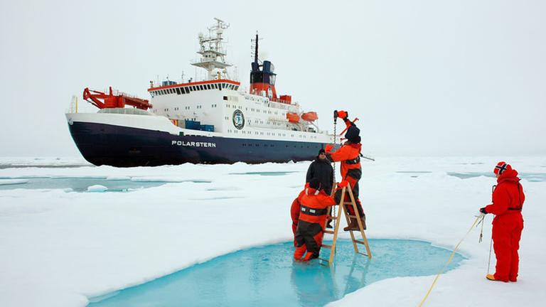 Das Forschungsschiff "Polarstern" vom AWI.