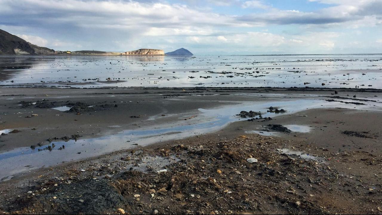 Blick vom Ufer auf einen kiesigen Strand und den See mit offensichtlich sehr niedrigem Wasserstand.