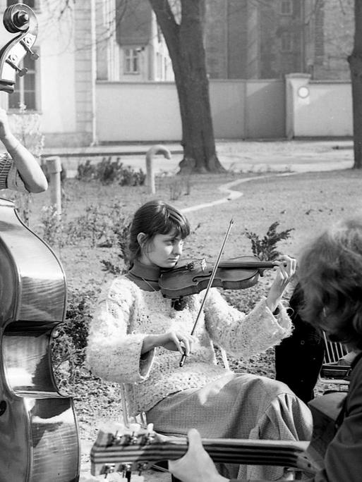 Die Gruppe Folkländer spielt auf einem Marktplatz