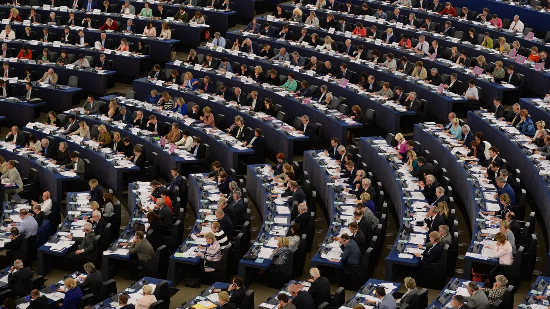 Abgeordnete des EU-Parlaments