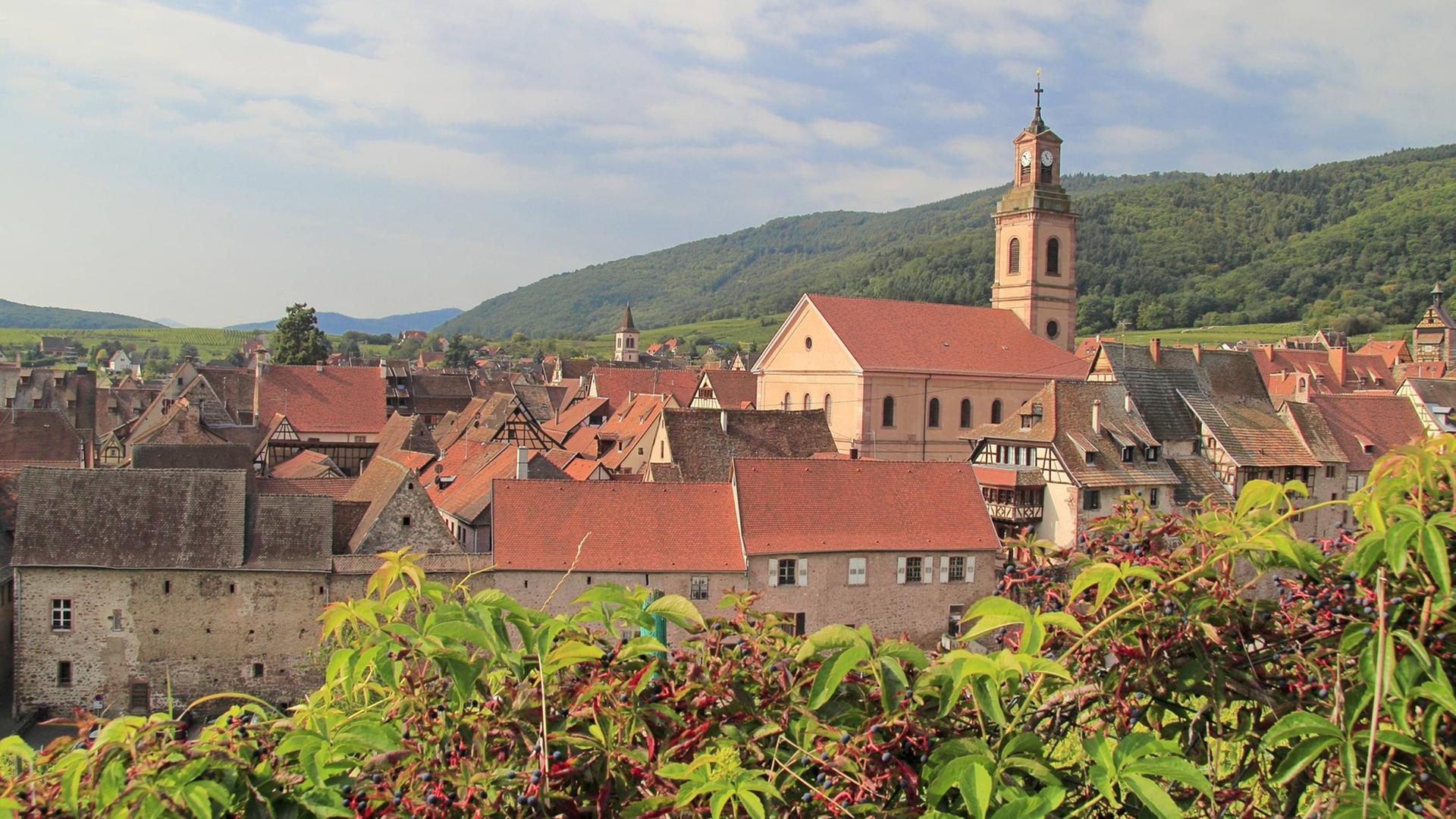 Die Altstadt von Riquewihr mit der Kirche im Elsass.
