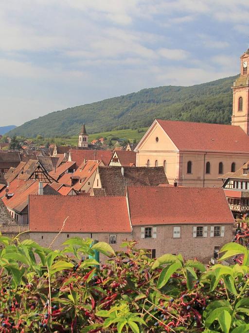 Die Altstadt von Riquewihr mit der Kirche im Elsass.