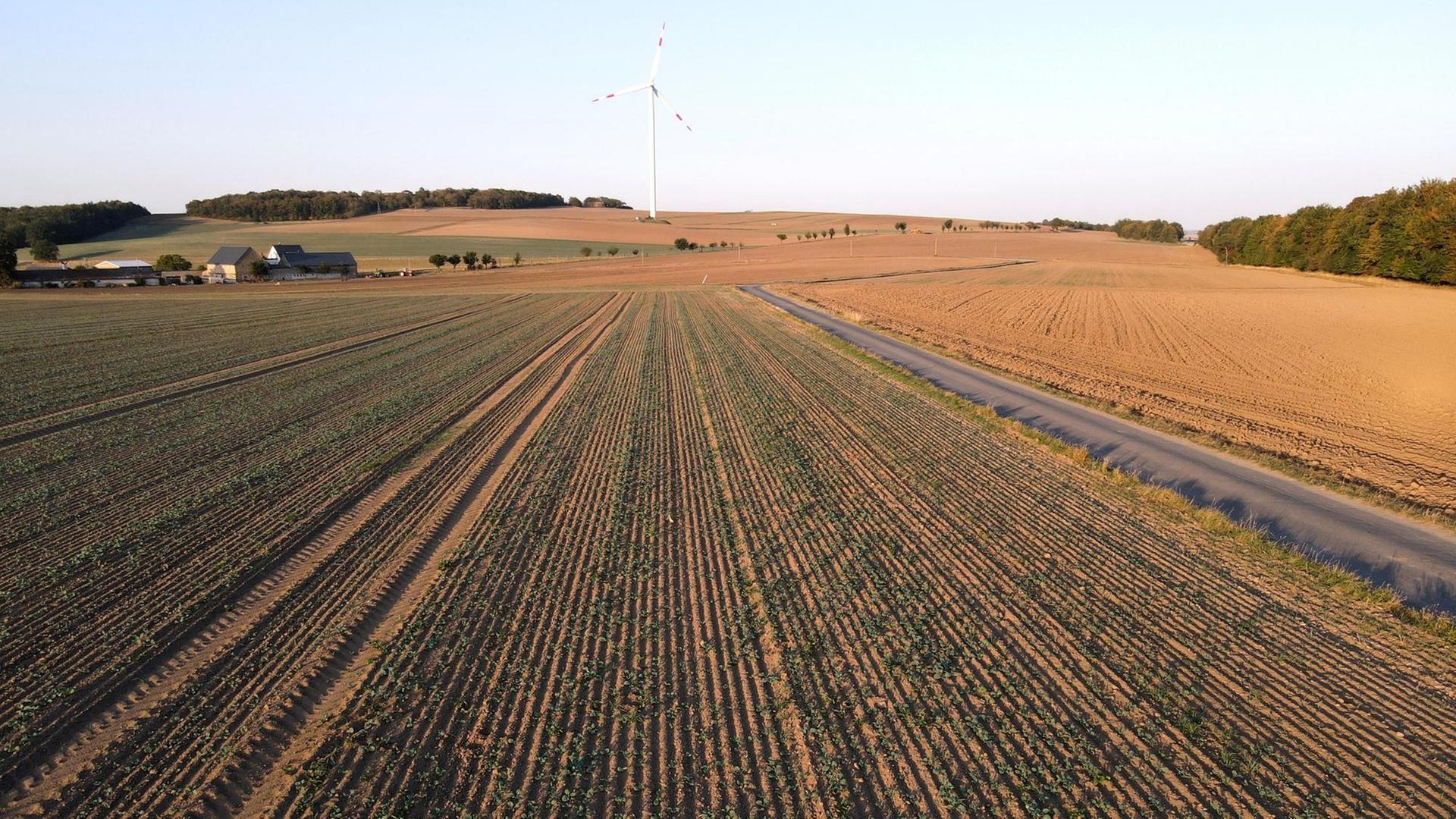 Eine Agrarlandschaft in der Eifel
