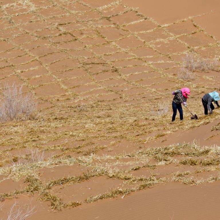 Maßnahmen gegen Desertifikation in China