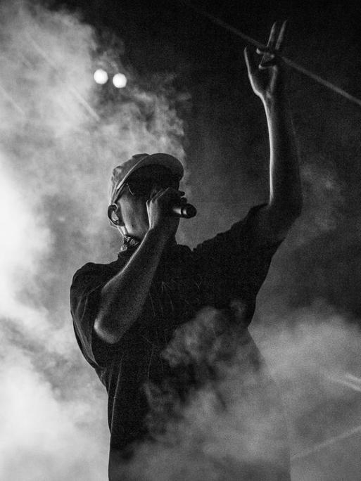 Der Hip-Hop Sänger Trettmann im Bühnen-Nebel, Mikrophon am Mund und Hand in die Luft gestreckt.