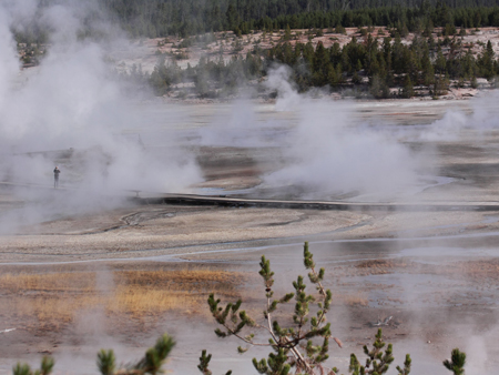 Norris Geysir Basin ist einer der thermalen Schwerpunkte des Yellowstone Nationalparks.
