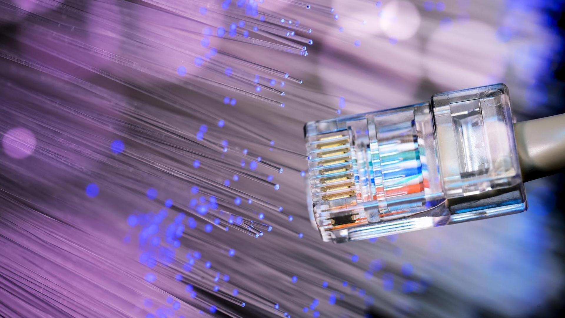 Symbolfoto Breitbandausbau, Internetkabel und Glasfaser.