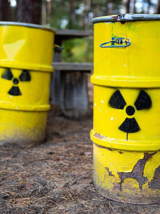 Zwei symbolische Atommüllfässer stehen unweit vom ehemaligen Erkundungsbergwerk Gorleben im Wald. 90 Gebiete in Deutschland haben nach Erkenntnissen der Bundesgesellschaft für Endlagerung günstige geologische Voraussetzungen für ein Atommüll-Endlager. Der Salzstock Gorleben in Niedersachsen ist nicht darunter.