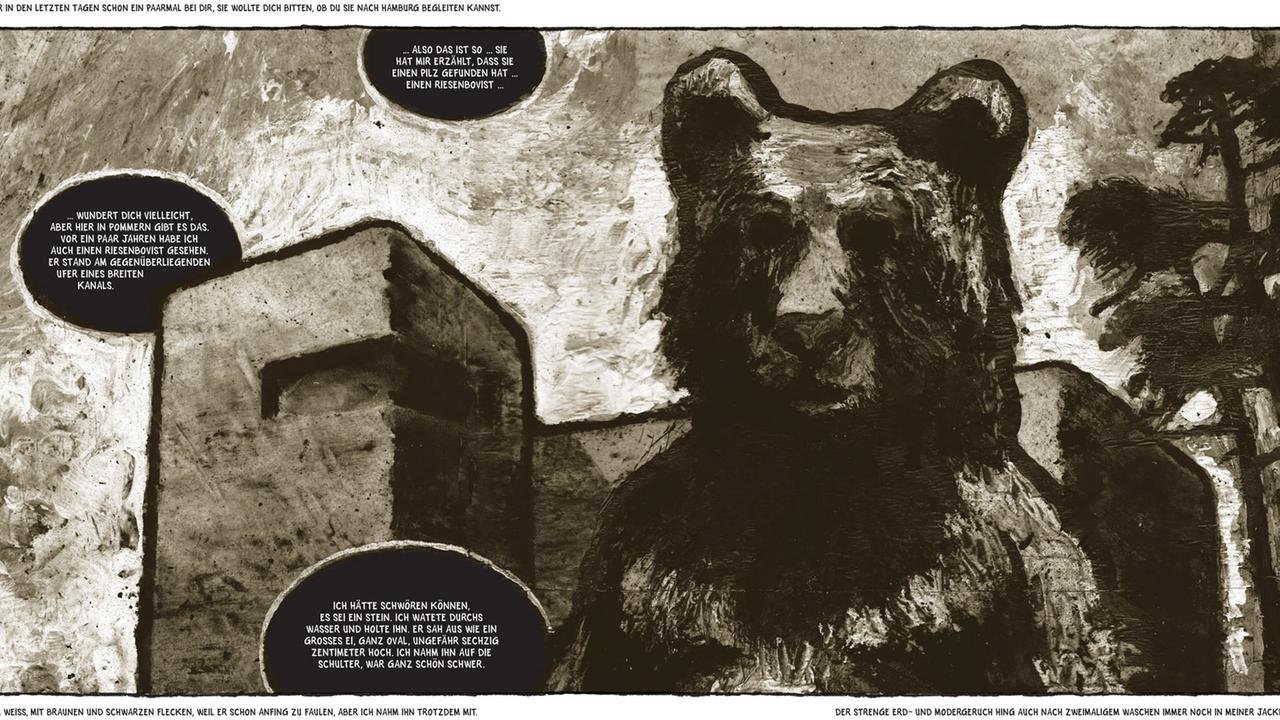 Illustration aus "Geschichte des Bären" von Stefano Ricci