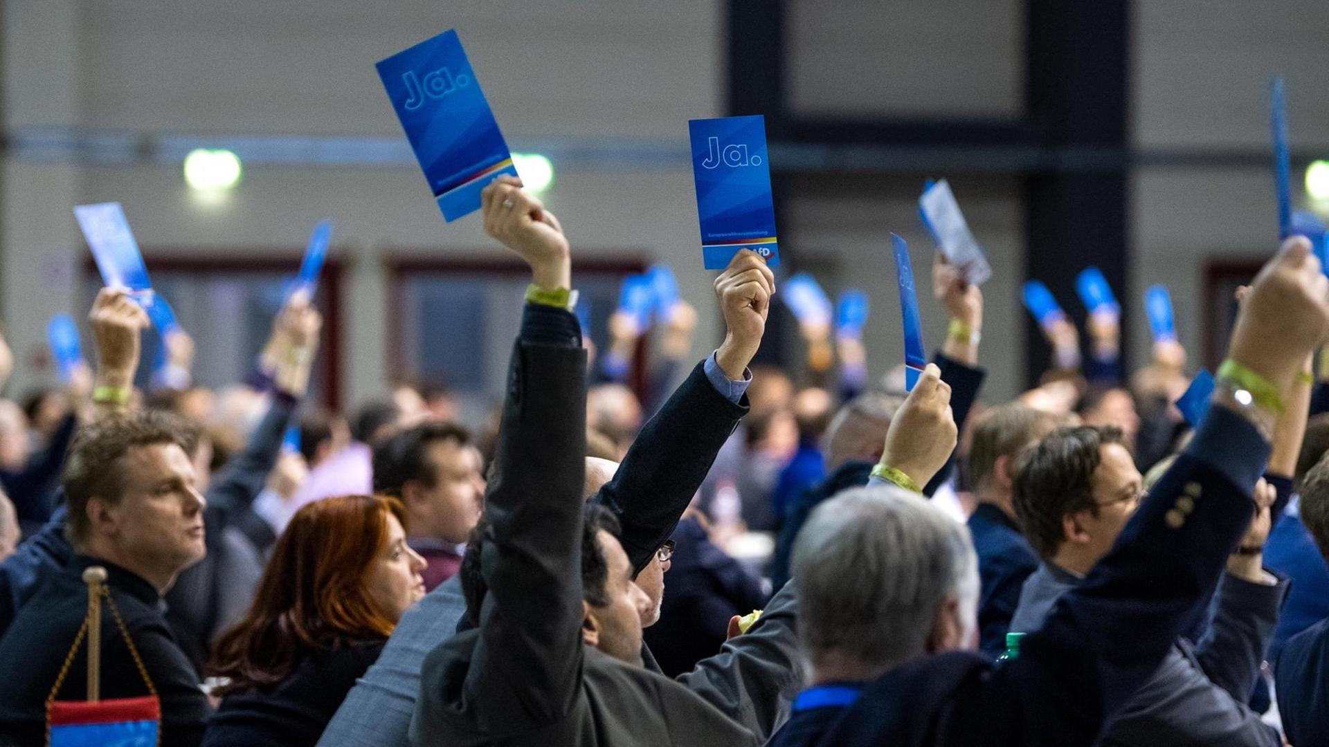 AfD-Delegierte auf der Europawahlversammlung im sächsischen Riesa (13.1.2019)