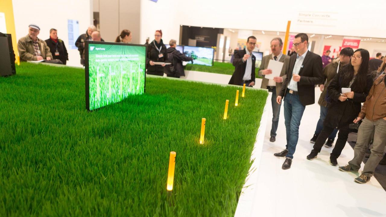 Die Firma SAP präsentiert ihr "Digital-Farming-Konzept auf der CeBIT 2015 mit einem echten Weizenfeld 