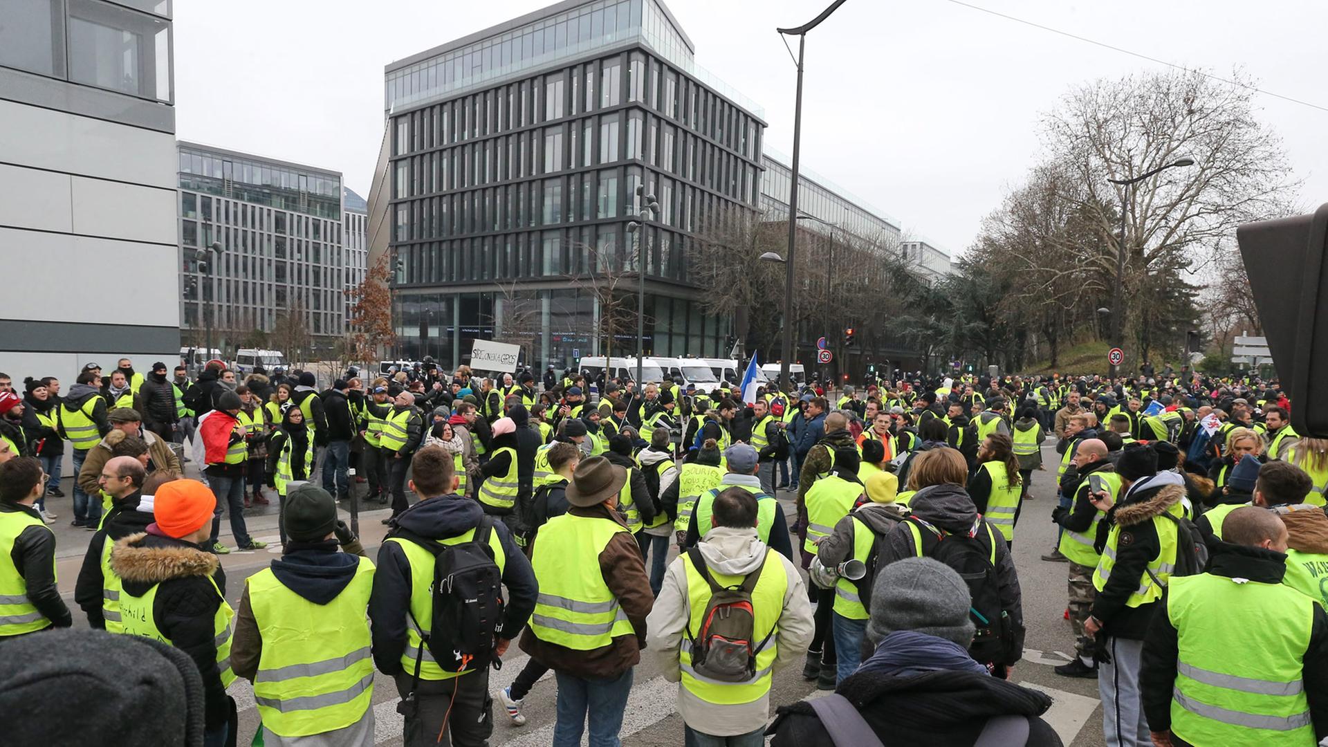 Protest der Gelbwesten am 29. Dezember 2018 in Paris
