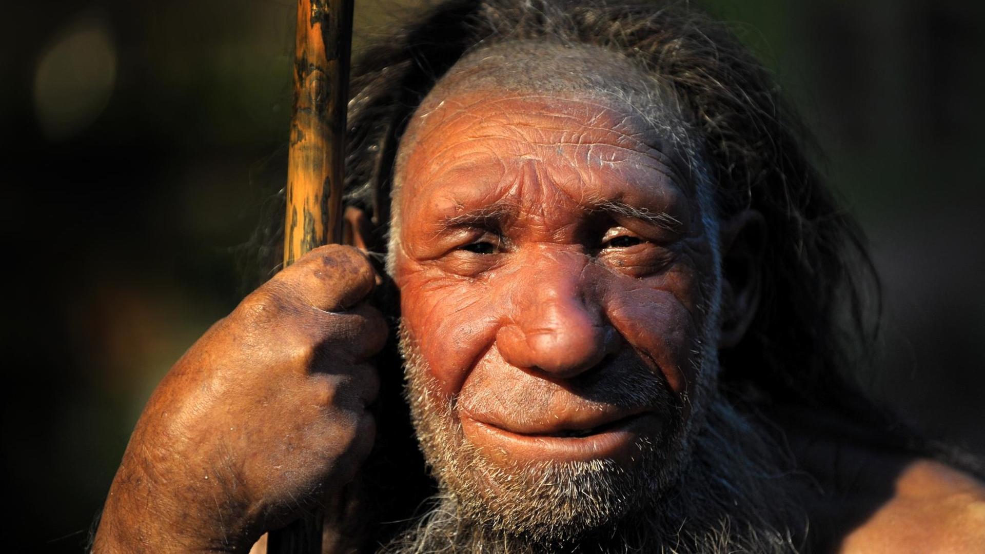 So soll er laut Forschern ausgesehen haben: Die Nachbildung eines älteren Neandertalers.