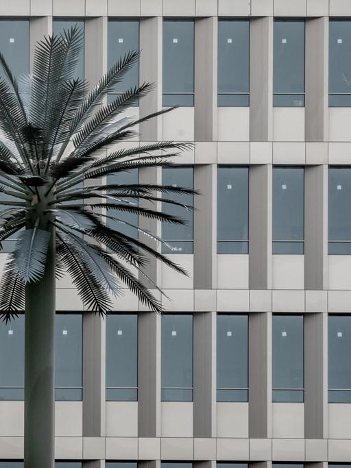 Die Glasfassade des Bundesnachrichtendienstes, der neuen Zentrale in der Chausseestraße in Berlin mit einer künstlichen Palme.