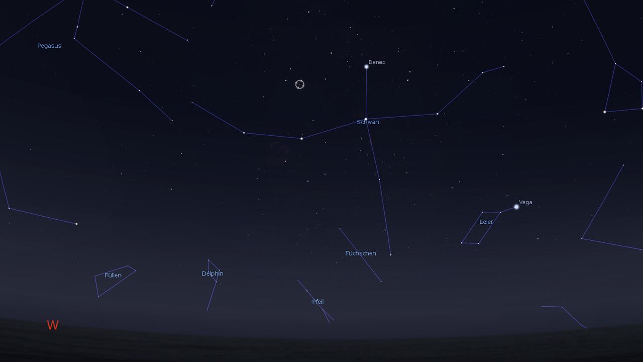 Der Stern 61 Cygni steht am Abendhimmel im Sternbild Schwan